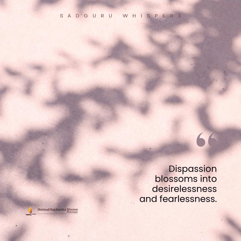 Dispassion blossoms into desirelessness and fearlessness.