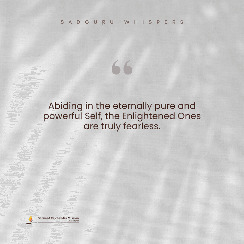 Abiding in the eternally pure and powerful Self, the Enlightened Ones are truly fearless.