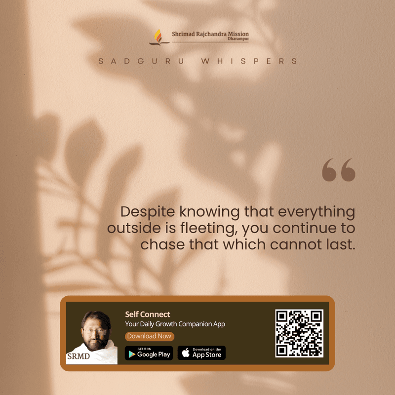 Despite knowing that everything outside is fleeting, you continue to chase that which cannot last.