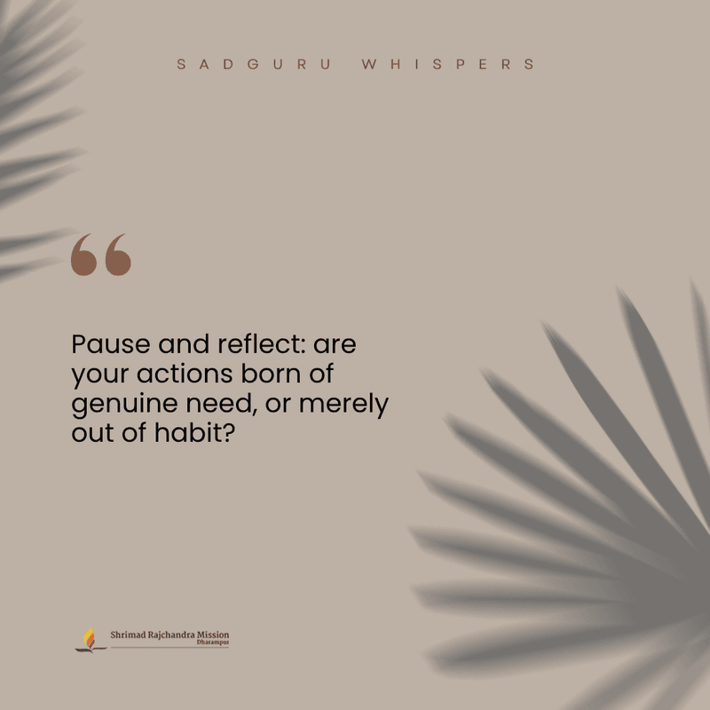 Pause and reflect: are your actions born of genuine need, or merely out of habit?