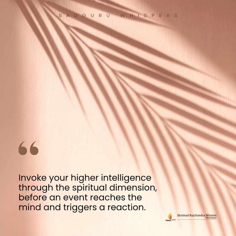 Invoca tu inteligencia superior a través de la dimensión espiritual, antes de que un evento llegue a tu mente y desencadene una reacción.