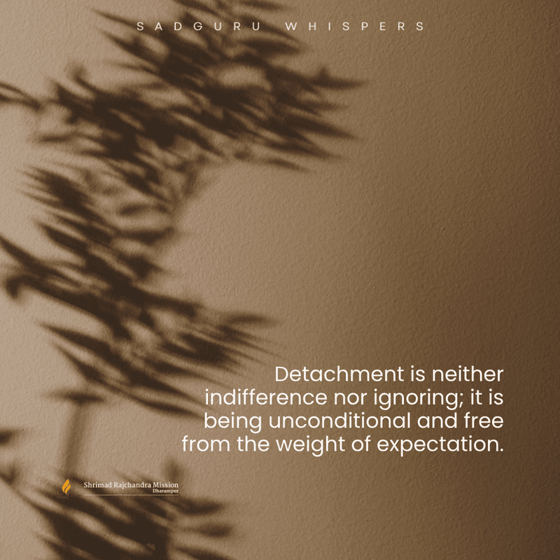 Detachment is neither indifference nor ignoring; it is being unconditional and free from the weight of expectation.