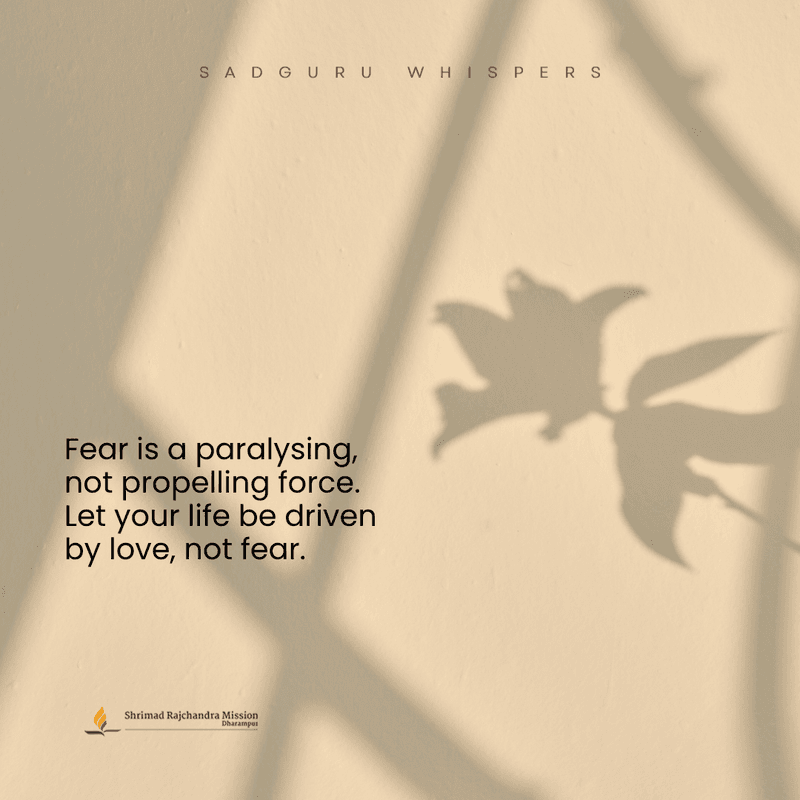 Fear is a paralysing, not propelling force. Let your life be driven by love, not fear.