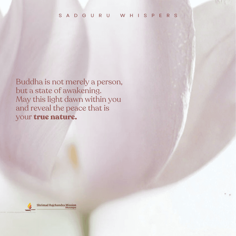 Buddha is not merely a person, but a state of awakening. May this light dawn within you and reveal the peace that is your true nature.