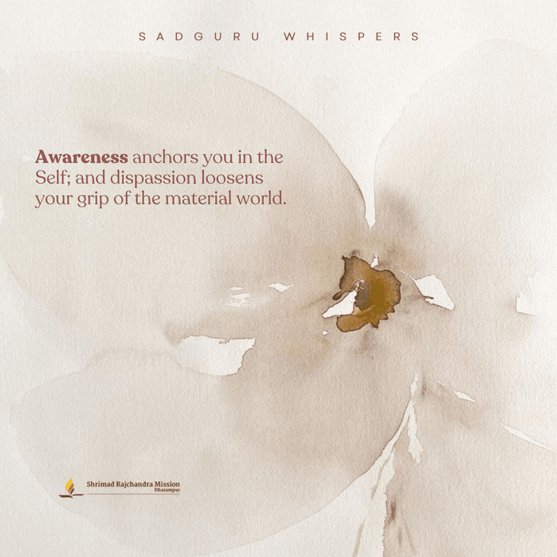 Awareness anchors you in the Self; and dispassion loosens your grip of the material world.