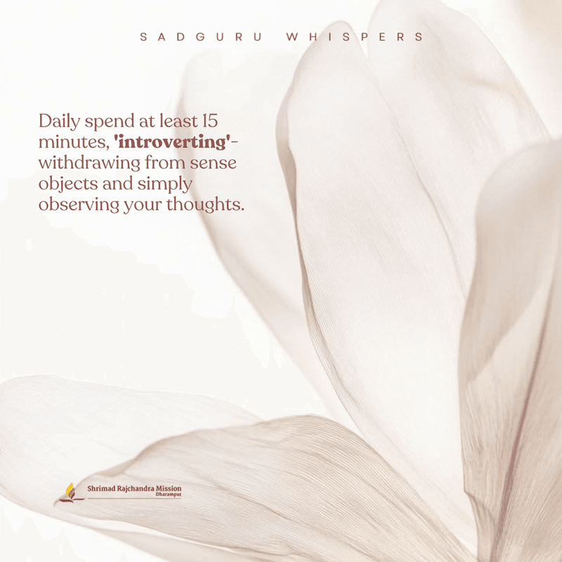 Daily spend at least 15 minutes, 'introverting'—withdrawing from sense objects and simply observing your thoughts.