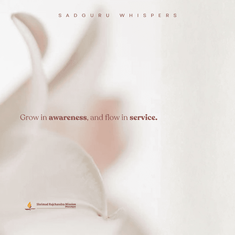 Grow in awareness, and flow in service.