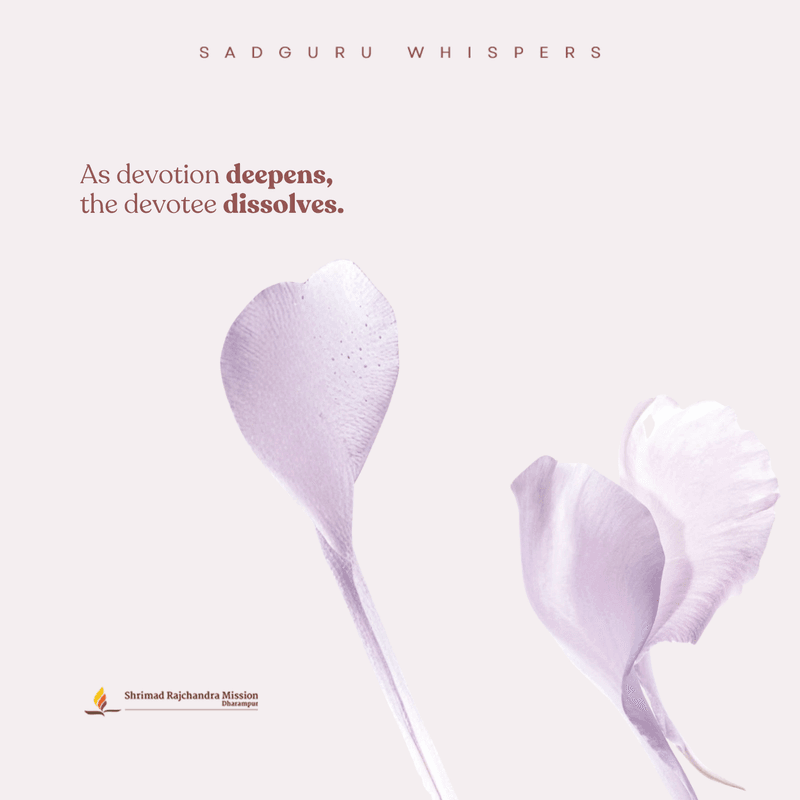 As devotion deepens, the devotee dissolves.