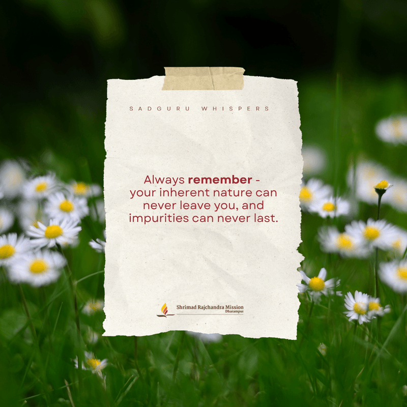Always remember - your inherent nature can never leave you, and impurities can never last.