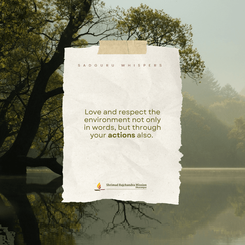 Love and respect the environment not only in words, but through your actions.