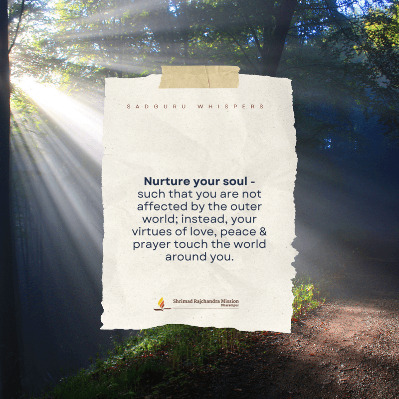 Nurture your soul - such that you are not affected by the outer world; instead, your virtues of love, peace & prayer touch the world around you.