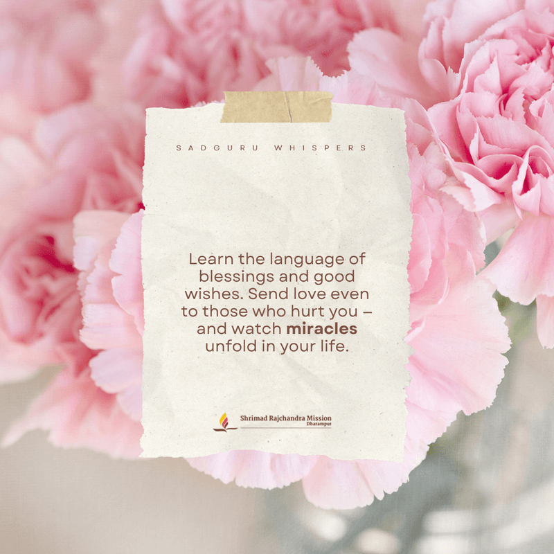 Learn the language of blessings and good wishes. Send love even to those who hurt you — and watch miracles unfold in your life.