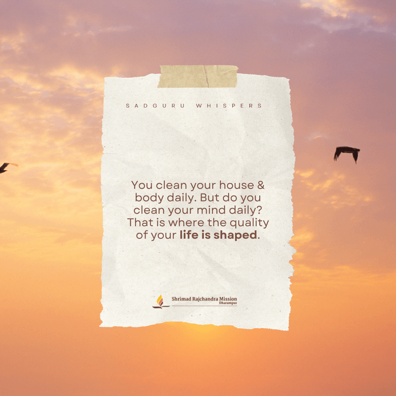 You clean your house & body daily. But do you clean your mind daily? That is where your happiness resides.