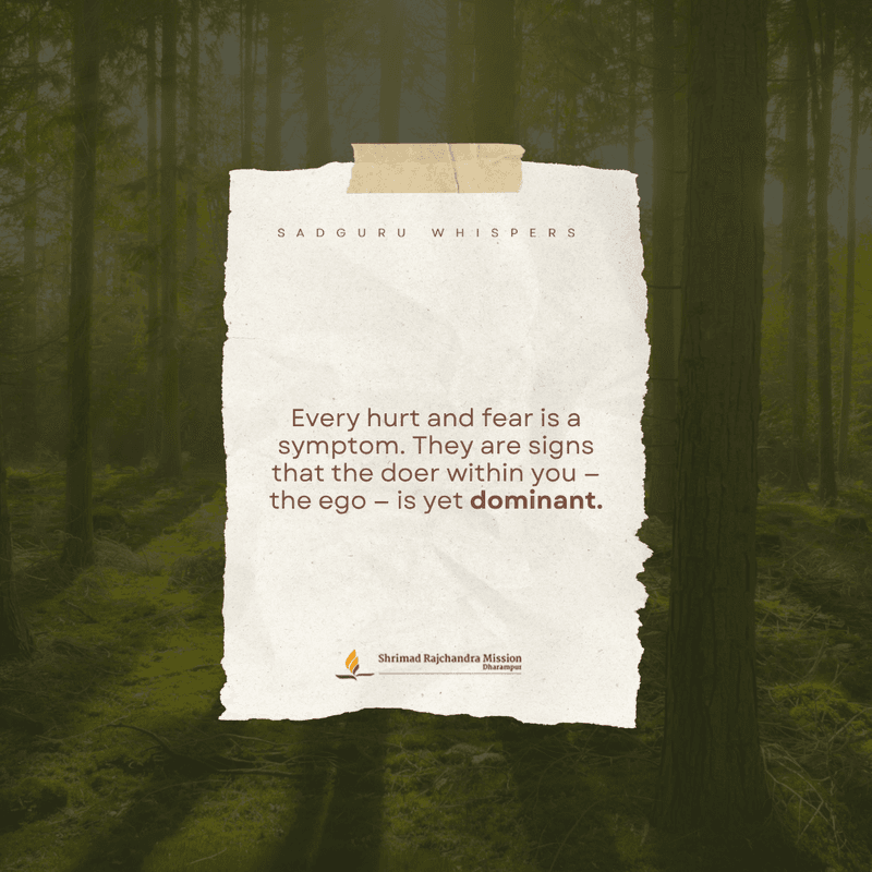 Every hurt and fear is a symptom. They are signs that the doer within you — the ego — is yet dominant.