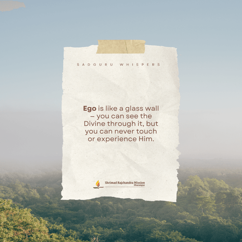 Ego is like a glass wall — you can see the Divine through it, but you can never touch or experience Him.
