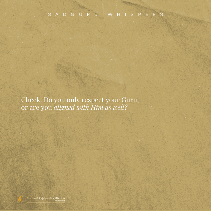 Check: Do you only respect your Guru, or are you aligned with Him as well?