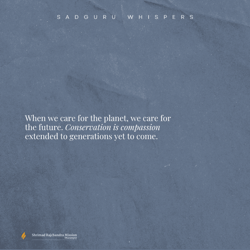 When we care for the planet, we care for the future. Conservation is compassion extended to generations yet to come.