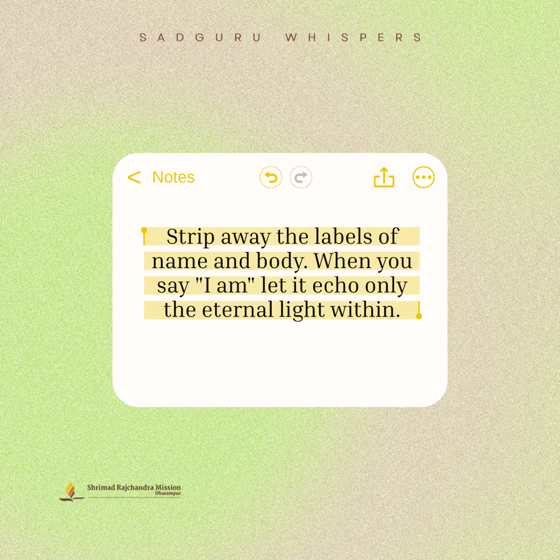 Strip away the labels of name and body. When you say "I am" let it echo only the eternal light within.