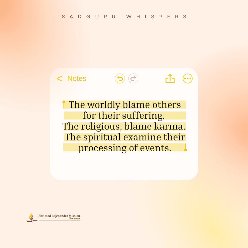 The worldly blame others for their suffering. The religious, blame karma. The spiritual examine their processing of events.
