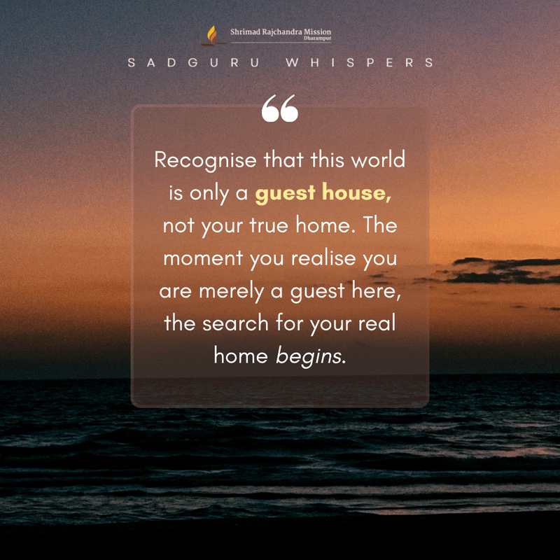 Recognise that this world is only a guest house, not your true home. The moment you realise you are merely a guest here, the search for your real home begins.