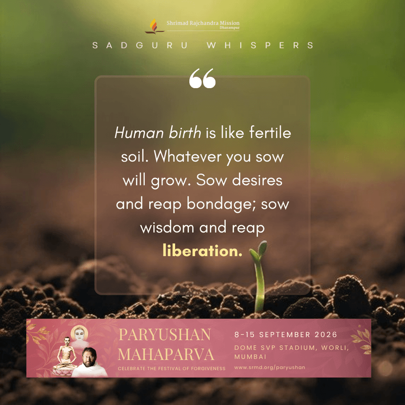 Human birth is like fertile soil. Whatever you sow will grow. Sow desires and reap bondage; sow wisdom and reap liberation.