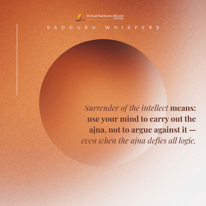 Surrender of the intellect means: use your mind to carry out the ajna, not to argue against it — even when the ajna defies all logic