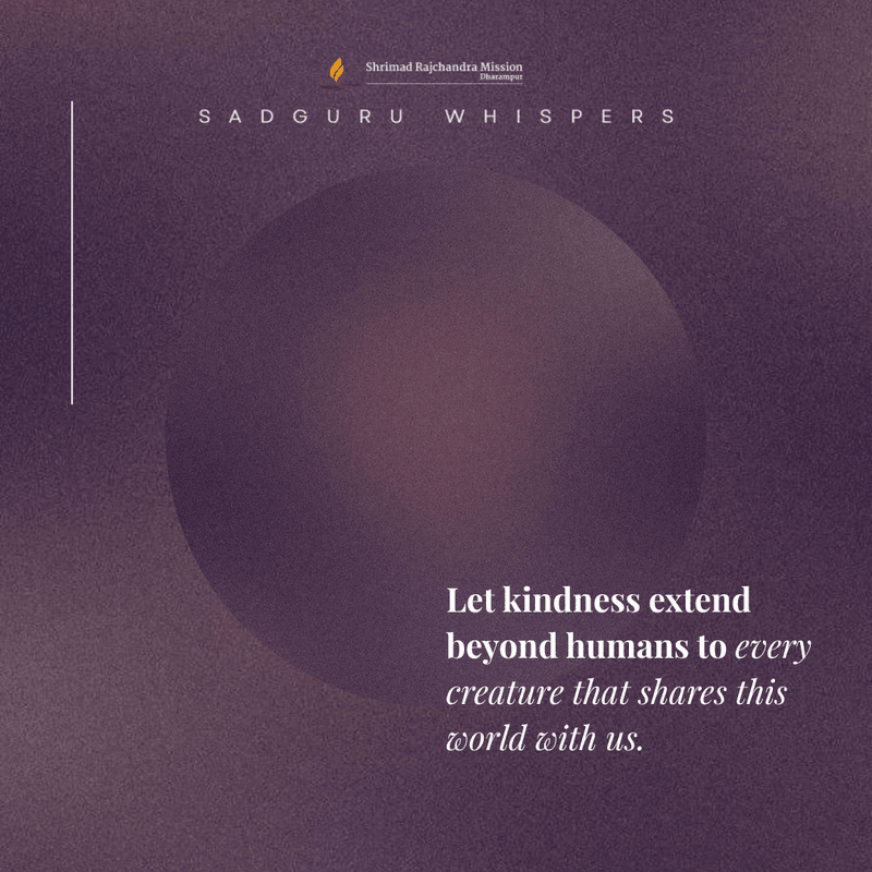 Let kindness extend beyond humans to every creature that shares this world with us.
